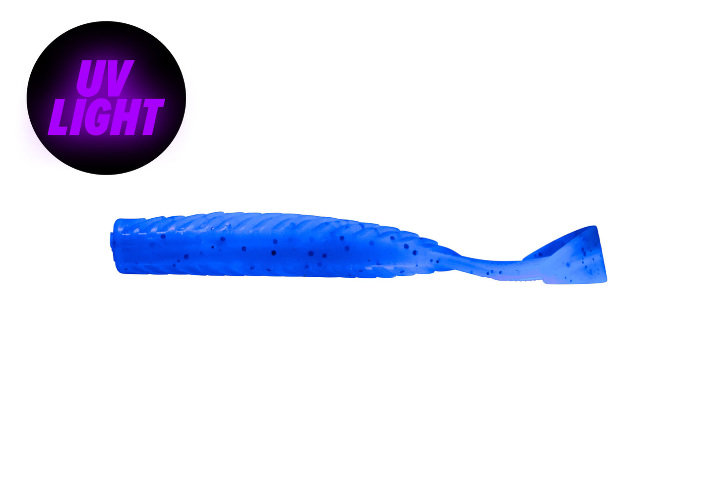 NATC Sir Beaver 4-pack UV Sparkle Bug