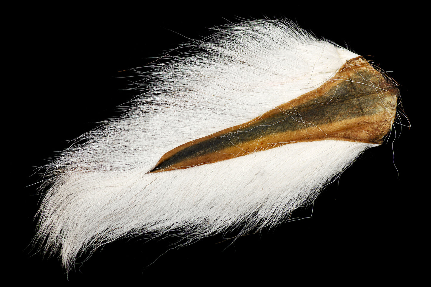 Doetail