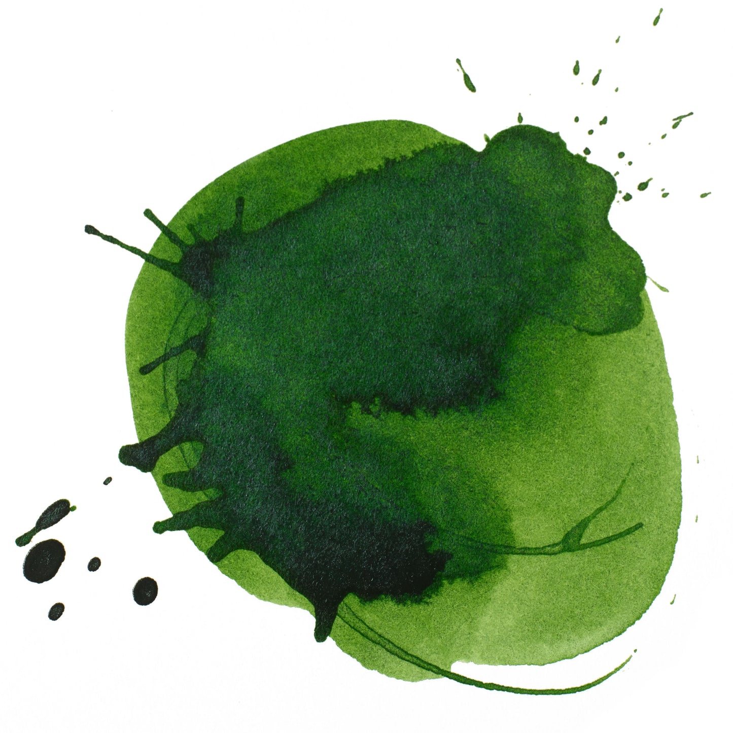 Liquitex Prof. Ink 30ml Hooker's Green permanent