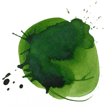 Liquitex Prof. Ink 30ml Hooker's Green permanent