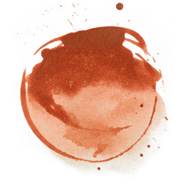 Liquitex Prof. Ink 30ml Red Oxide