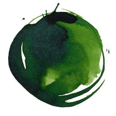 Liquitex Prof. Ink 30ml  Sap Green permanent