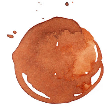 Liquitex Prof. Ink 30ml Transparent Burnt Sienna
