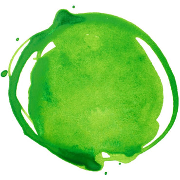 Liquitex Prof. Ink 30ml  Vivid Lime Green
