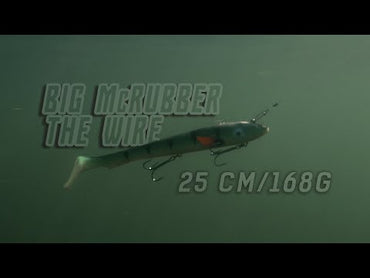 Big McRubber The Wire 25cm 168 g C3 Fire Tiger