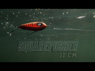 Squarepusher 11cm - C24 Walleye
