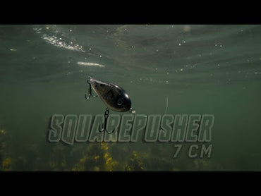 Squarepusher 7 cm/20 g Golden Roach