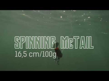 Spinning McTail 100 g 165 mm Black Eyed Shiner
