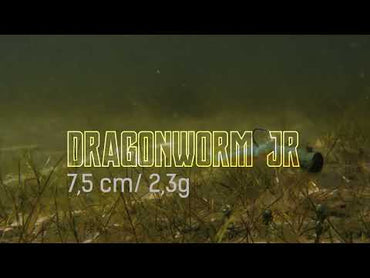 NATC Dragonworm Junior 8-pack Motoroil Glitter