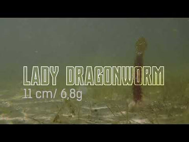 NATC Lady Dragonworm 6-pack Junebug