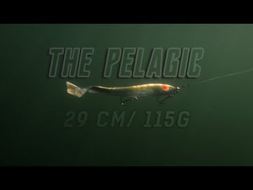 Mcrubber The Pelagic 29cm - Flash Baltic Herring 2-pack