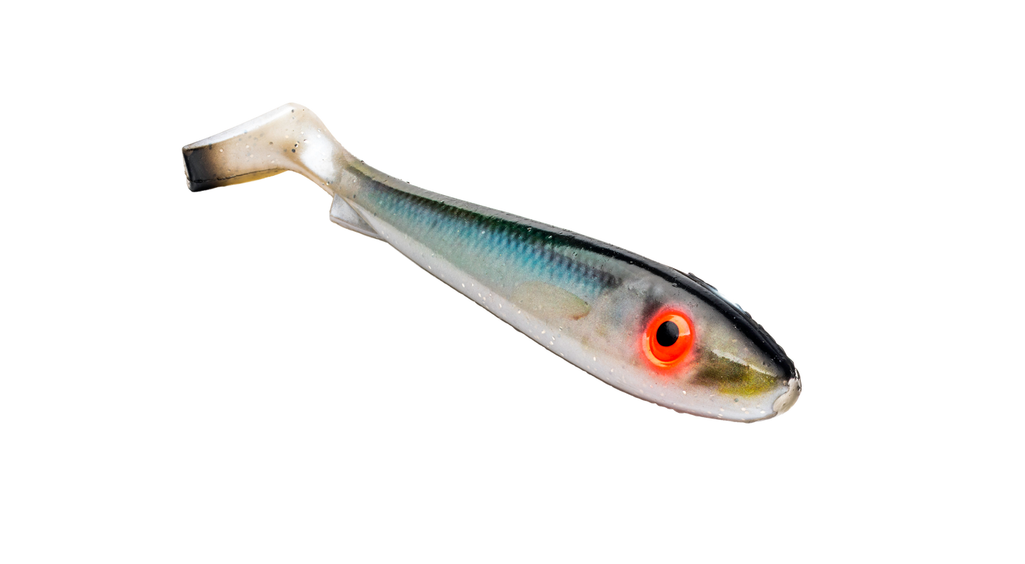 McRubber 25cm - Real Baltic Herring 1-pack
