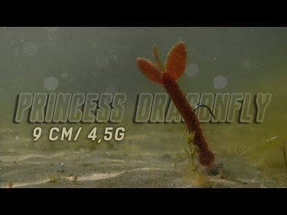 NATC Princess Dragonfly 6-pack Highlight Ayu