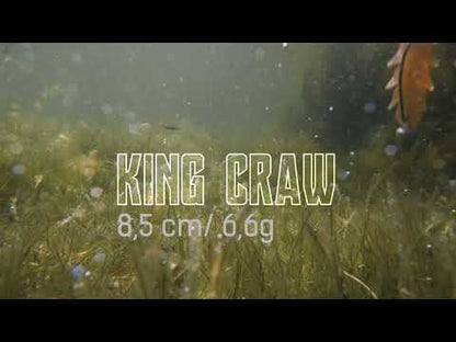 NATC King Craw 4-pack Pumpkin Spice