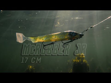 McRubber Flash 17 cm 2 pack Electric Steelhead