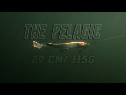 Mcrubber The Pelagic 29cm - Flash Baltic Herring 2-pack
