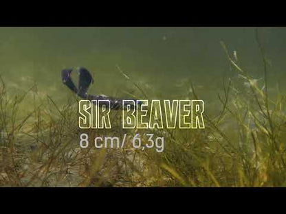 NATC Sir Beaver 4-pack UV Brown Craw